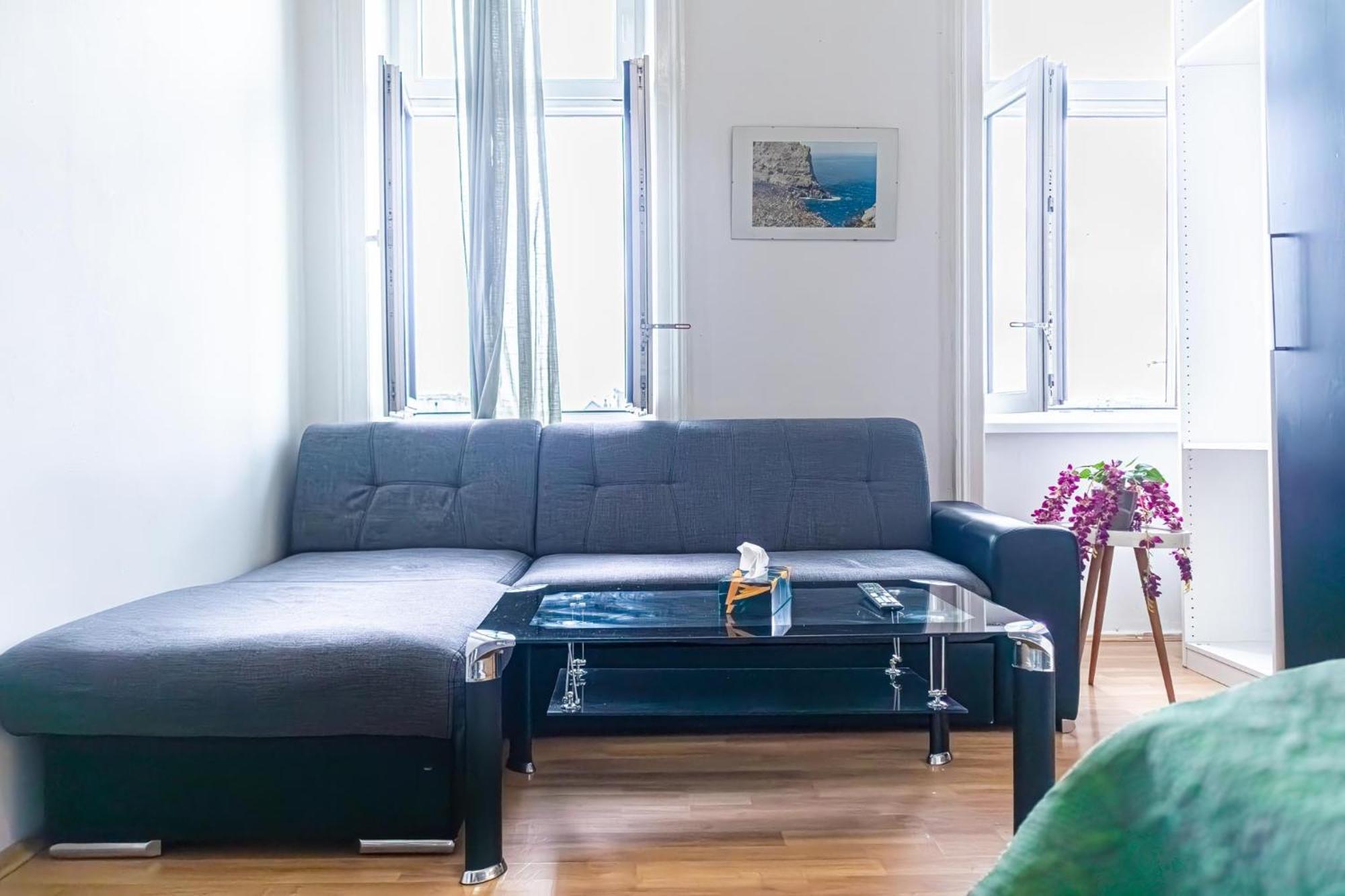 Homely Near Millenium Tower Apartment Wien
