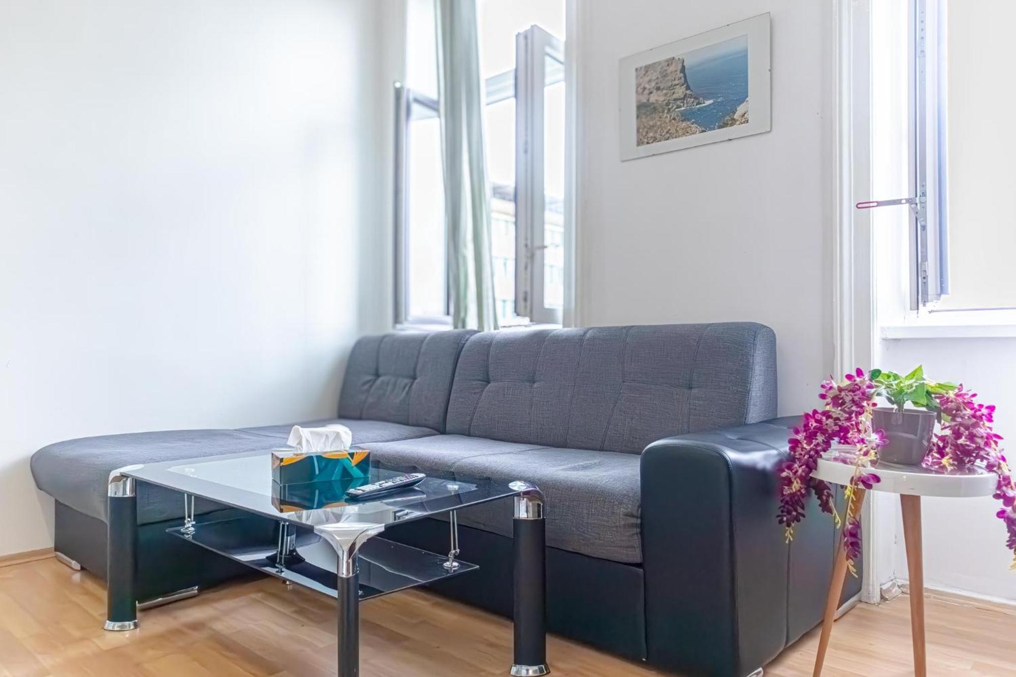 Apartment Homely Near Millenium Tower Wien
